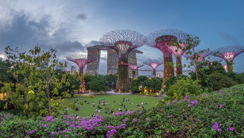 Singapore Gardens by the Bay & Marina Bay Experience – Singapore